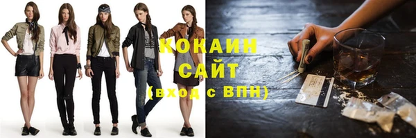 прущий лед Алзамай