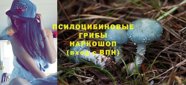 мяу мяу мука Алексин
