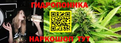 крисы Коммунар