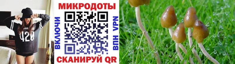 продажа наркотиков  Севастополь  blacksprut ссылка  Псилоцибиновые грибы MAGIC MUSHROOMS 
