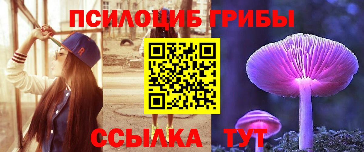 Псилоцибиновые грибы мицелий  Вход с VPN  Севастополь 